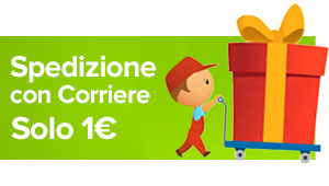 Spedizione con Corriere a solo 1 euro