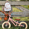 Bicicletta senza pedali Rosa balance bike (LD8000)