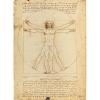 Leonardo: Uomo Vitruviano Museum Collection (35001)