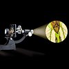 Microscopio Con Luce E Proiettore (IP41833)