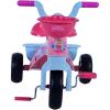 Triciclo Primi Passi Princess (75003)