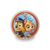 Pallone Paw Patrol Bio D.23 26017