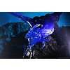 D&D Iotr Sapphire Dragon Premium Figure