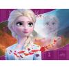 Frozen 2 Puzzle 4 in a box (3019)