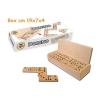 GAMES DOMINO LEGNO (40027)