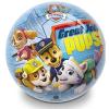 Pallone Paw Patrol 140 (05073)