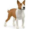 Bull Terrier (2513966)