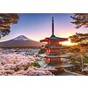 Ciliegi in fiore e Monte Fuji Puzzle 1000 pz - Foto & Paesaggi (17090)
