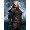 Puzzle 500 Pz The Witcher (35092)