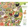 Magnifico - Giochi educativi in legno - Wooden magnetics (DJ03124)