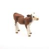 Simmental vitello (PAP51134)