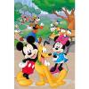 Mickey Mouse Puzzle + 3D Model (20157)