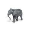 Grande elefante africano (PAP50198)