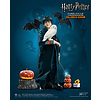 Hp Harry Halloween 12inch Af
