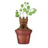 Harry Potter: Half Moon Bay - Mandrake (Table Top Vase / Vaso Da Tavolo)