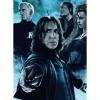 Harry Potter - Puzzle 2 x 500 pezzi (12000228)