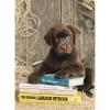 Laying on the books 1000 pezzi High Quality Collection (39230)