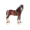 Castrone clydesdale (2513808)