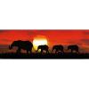 Sunset Elephants (Poster 30X91,5 Cm)