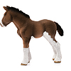 Puledro clydesdale (2513810)