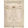 Leonardo da Vinci: L'uomo Vitruviano