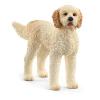 Goldendoodle (2513939)