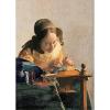 Vermeer - La merlettaia Louvre 1000 pezzi (39265)