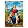 Raffaello - Madonna del cardellino Galleria degli Uffizi 1000 pezzi (39267)