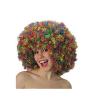 Parrucca clown multicolore