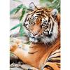 Sumatran tiger 1000 pezzi High Quality Collection (39295)