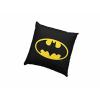 Batman Symbol Square Cushion