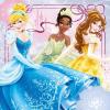 Disney Princess (7319)