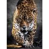 1000 pezzi Walk of the Jaguar (39326)