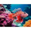 Pesce Scorpione - Puzzle 500 pezzi (12001334)