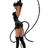 Catwoman - Motion Statue Ame Comi 