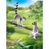 Lemuri Catta (70355)