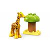 Animali dell'Africa - Lego Duplo (10971)