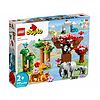 Animali dell'Asia - Lego Duplo (10974)