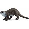 Lontra (14865)