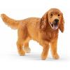 Cocker Spaniel Inglese (2513896)
