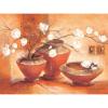 Vasi con magnolie bianche (16392)