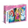 Princess Maxi 60 pezzi (26416)