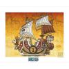 Collector Artprint Thousand Sunny (50x40) (ABYART003)