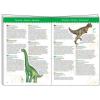 Dinosauri 100 pezzi + libretto