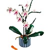 Orchidea - Botanical Collection (10311)