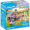 Carrozza con pony (71496)