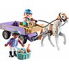 Carrozza con pony (71496)