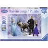 Frozen: La regina delle nevi (10516)