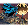 DC Comics Bat Signal 500p (32518)