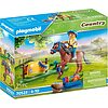 Pony Welsh (70523)